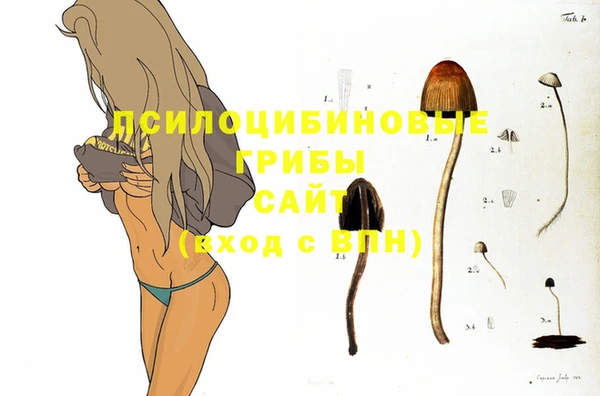 дживик Богородск