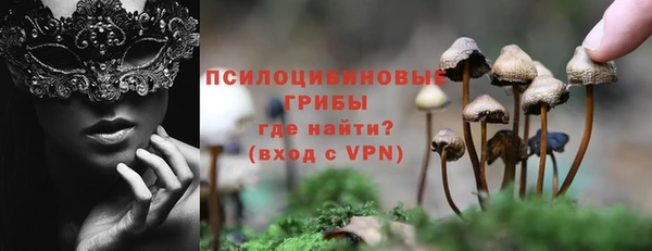дживик Богородск