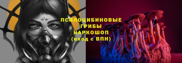 дживик Богородск