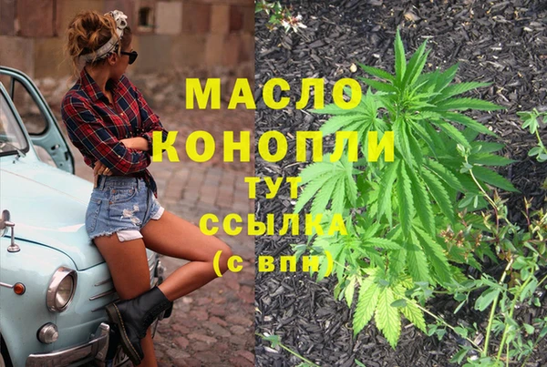 дживик Богородск