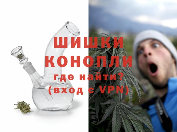 дживик Богородск